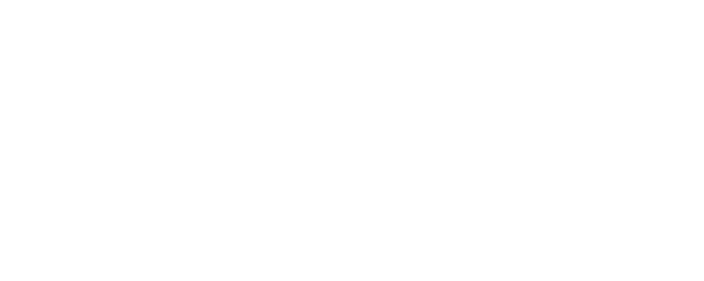 Monroe College Logo